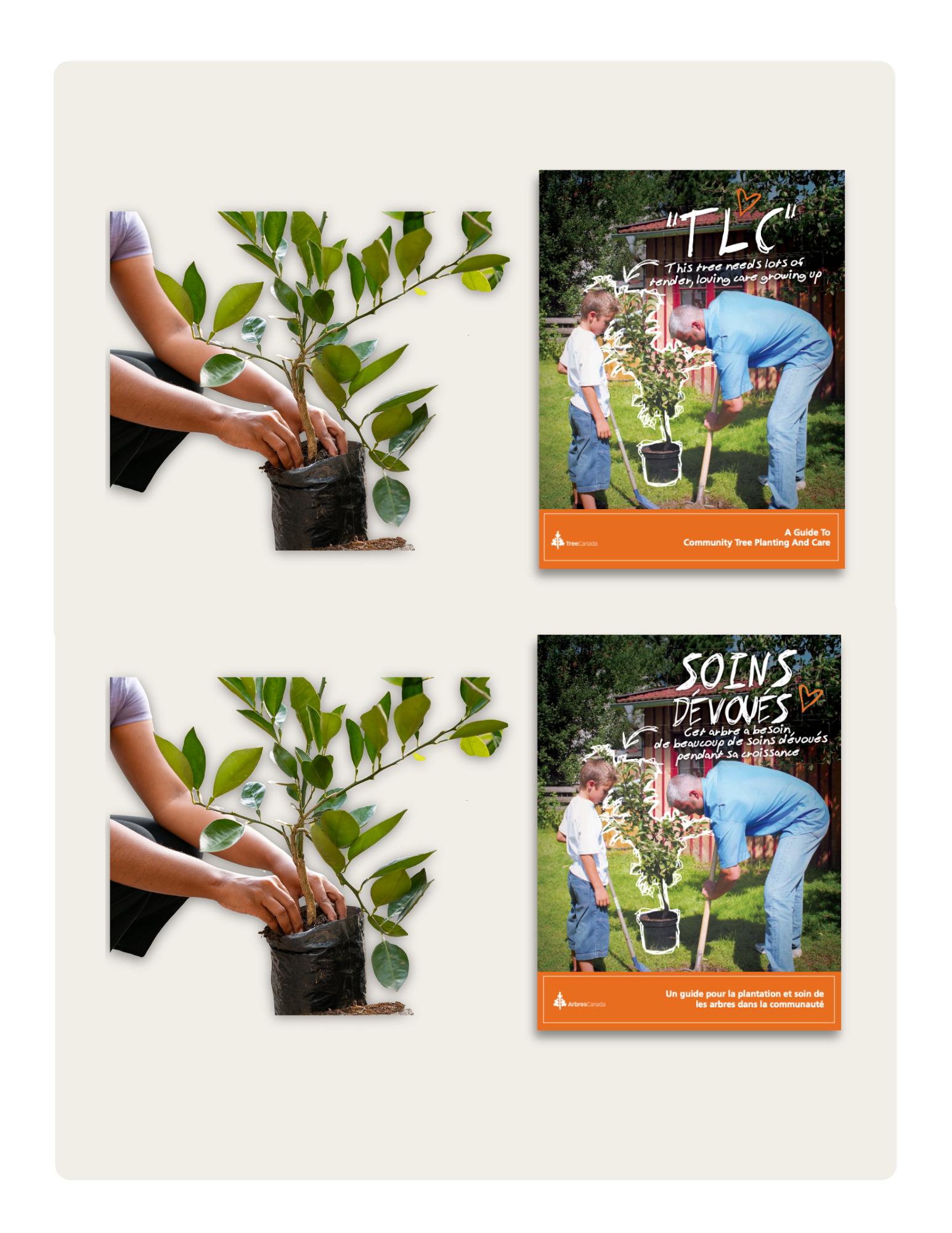 Tree Planting Kit | Trousse de plantation d’arbres